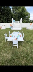 811NfRKiTZL 1740684263 Child Party Chairs